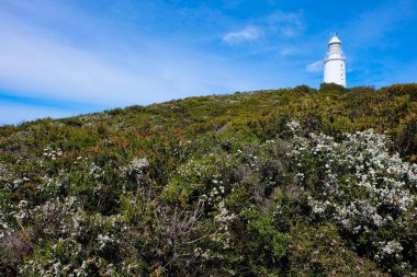 Bruny Burnu, Deniz Feneri, Ada, Tazmanya Vahşi Doğası, Avustralya 