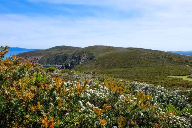 Bruny Burnu, Deniz Feneri, Ada, Tazmanya Vahşi Doğası, Avustralya 