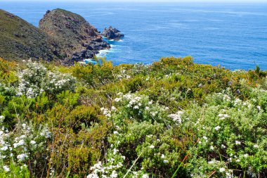 Bruny Burnu, Deniz Feneri, Ada, Tazmanya Vahşi Doğası, Avustralya 