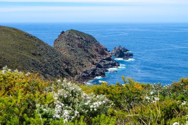 Bruny Burnu, Deniz Feneri, Ada, Tazmanya Vahşi Doğası, Avustralya 