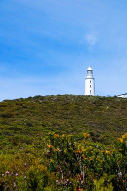 Bruny Burnu, Deniz Feneri, Ada, Tazmanya Vahşi Doğası, Avustralya 