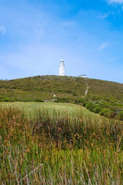 Bruny Burnu, Deniz Feneri, Ada, Tazmanya Vahşi Doğası, Avustralya 