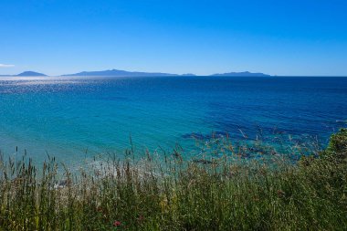 Freycinet Ulusal Parkı, Tazmanya, Avustralya yolunda duraklayan berrak su okyanusu plajı. 