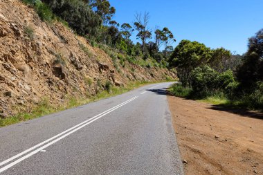Wine Glass Bay 'e giden yol, Freycinet Ulusal Parkı, Tazmanya, Avustralya