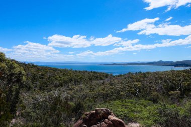 Freycinet Ulusal Parkı, Winegalss Körfezi, Tazmanya, Tassia, Tasman Yaban Hayatı, Avustralya 