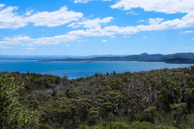 Freycinet Ulusal Parkı, Winegalss Körfezi, Tazmanya, Tassia, Tasman Yaban Hayatı, Avustralya 