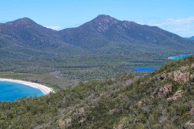 Freycinet Ulusal Parkı, Winegalss Körfezi, Tazmanya, Tassia, Tasman Yaban Hayatı, Avustralya 
