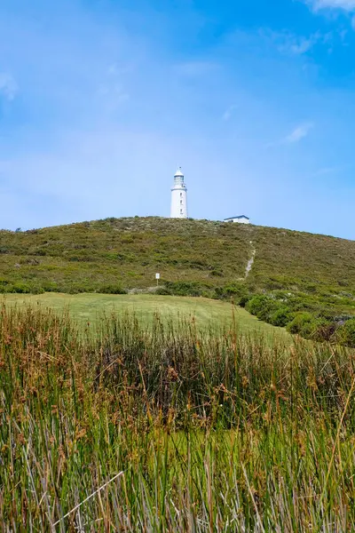 Bruny Burnu, Deniz Feneri, Ada, Tazmanya Vahşi Doğası, Avustralya 