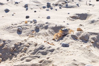 Kuzey Stradbroke Adası, Cleveland, Brisbane, Queensland, Avustralya 'da güneşli, mavi bir yaz günü. 