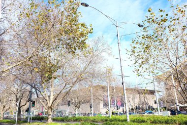 Melbourne CBD, Victoria, Avustralya 'daki binalar ve mimariler 