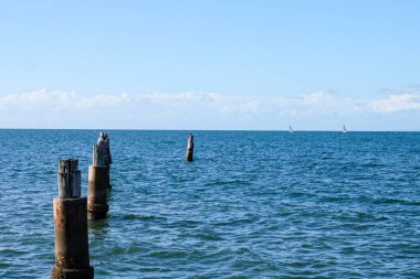 Shorncliffe iskelesi, iskele, sahil ve kıyı manzarası, QLD