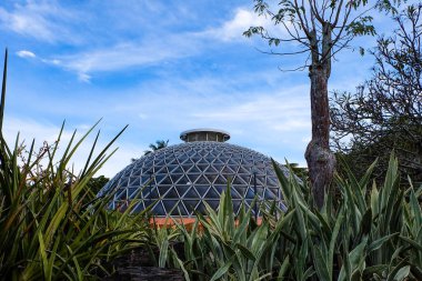 Coot Tha Dağı botanik bahçesi ve Sir Thomas Brisbane Gökevi, QLD