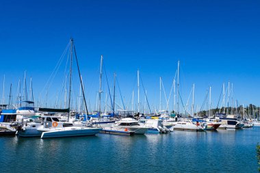 Wynnum, Queensland, Avustralya 'da yelkenli, yat ve lüks tekneler. 