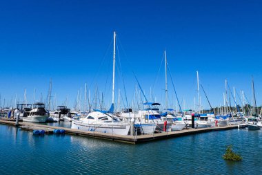 Wynnum, Queensland, Avustralya 'da yelkenli, yat ve lüks tekneler. 