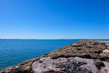 Güneşli güzel bir gün, berrak ve mavi bir gökyüzü, güneş ışığı ve martılar Wynnum iskelesinde, Manly, Brisbane CBD 'nin banliyölerinde uçuyor. 