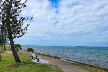 Woody Point, Deniz feneri ve körfez boyunca park, Cleveland banliyösü, Brisbane, Queensland, Avustralya 