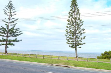 Woody Point, Deniz feneri ve körfez boyunca park, Cleveland banliyösü, Brisbane, Queensland, Avustralya 