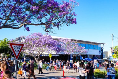 Manly, Queensland, Avustralya 'da Cadılar Bayramı Sokak Partisi  