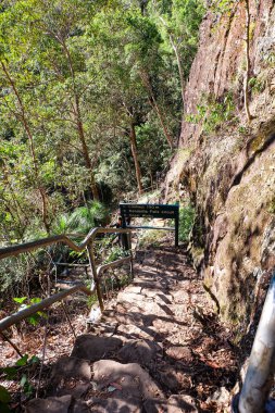 Bush Koladilla Şelalesi 'ne yürüyor, QLD 