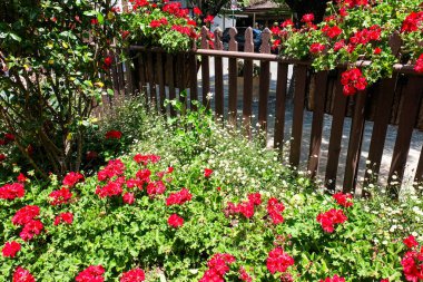 Hahndorf, Güney Avustralya, Adelaide, Alman köyündeki dükkanlar ve binalar 