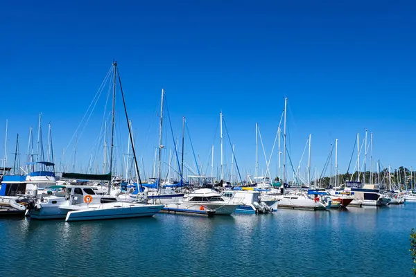 Wynnum, Queensland, Avustralya 'da yelkenli, yat ve lüks tekneler. 