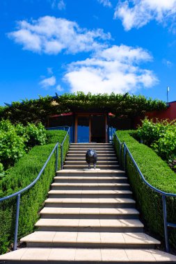 McLaren Vale bölgesi, şarap, şaraphane, üzüm bağı, Güney Avustralya 