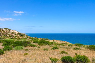 Hallette Koyu Koruma, Ulusal Park, Güney Avustralya, Avustralya 