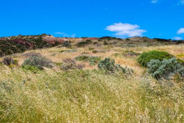 Hallette Koyu Koruma, Ulusal Park, Güney Avustralya, Avustralya 