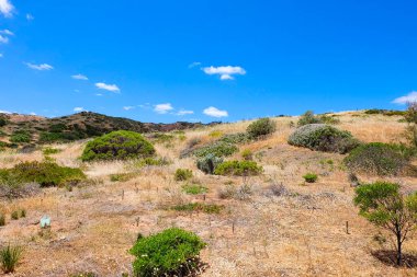 Hallette Koyu Koruma, Ulusal Park, Güney Avustralya, Avustralya 