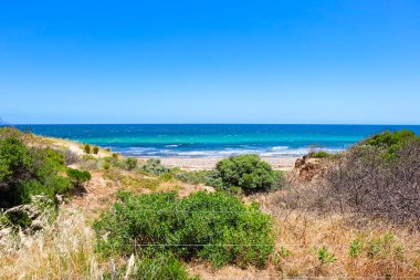 Hallette Koyu Koruma, Ulusal Park, Güney Avustralya, Avustralya 
