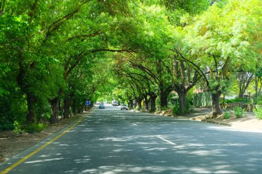 Hahndorf, Güney Avustralya, Adelaide, Alman köyü 
