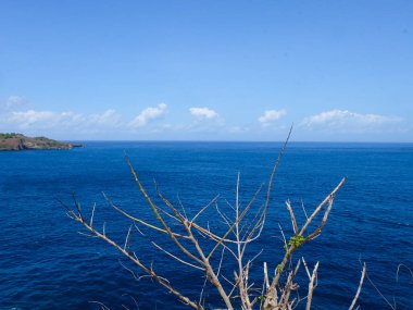 Angel 's Billabong, Nusa Penida Adası, Bali, Endonezya' daki şeytan havuzu.