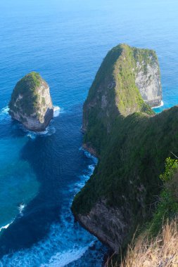 Endonezya, Bali 'deki Nusa Penida adasında dinozor t-rex ve plajı olarak bilinen ünlü Kelingking uçurumu.