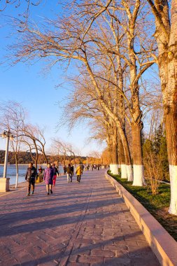 Yaz Sarayı ve Kunming Gölü ve köprüsü mavi gökyüzü güneşli bir günde, Pekin, Çin