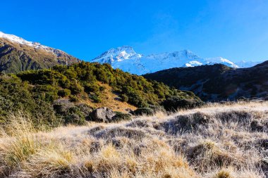 Güneşli, mavi bir kış gününde Yeni Zelanda 'nın güney adasındaki Mount Cook Ulusal Parkı' nda yürüyüş. 