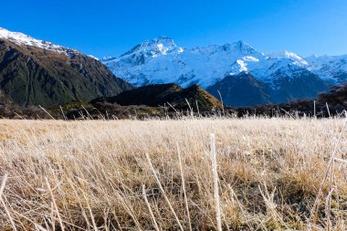 Güneşli, mavi bir kış gününde Yeni Zelanda 'nın güney adasındaki Mount Cook Ulusal Parkı' nda yürüyüş. 