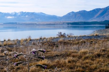 Kış Yolculuğu, Gündoğumu Tekapo Gölü, Yeni Zelanda, Güney Adası 