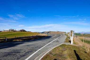 Koyun yolda, Fairlie, Canterbury, Yeni Zelanda 'ya yolculuk Tekapo Gölü' nden Christchurch, Güney Adası 'na yolculuk. 