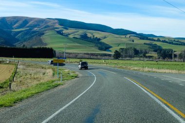 Koyun yolda, Fairlie, Canterbury, Yeni Zelanda 'ya yolculuk Tekapo Gölü' nden Christchurch, Güney Adası 'na yolculuk. 