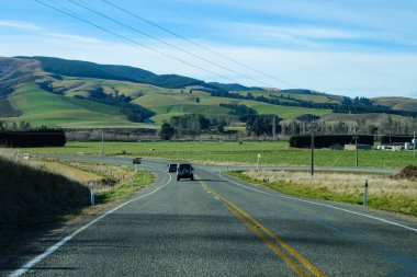 Koyun yolda, Fairlie, Canterbury, Yeni Zelanda 'ya yolculuk Tekapo Gölü' nden Christchurch, Güney Adası 'na yolculuk. 