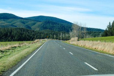 Koyun yolda, Fairlie, Canterbury, Yeni Zelanda 'ya yolculuk Tekapo Gölü' nden Christchurch, Güney Adası 'na yolculuk. 
