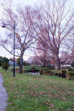 Christchurch halk parkı ve mezarlığı 