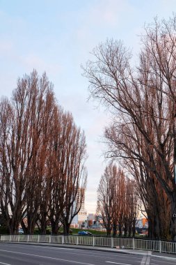 Christchurch halk parkı ve mezarlığı 