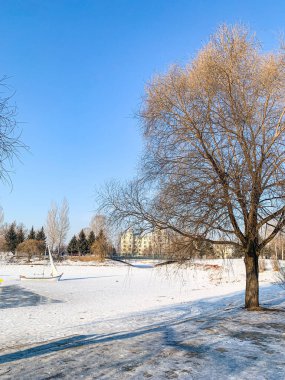 Volga malikanesi, Rus köyü tema parkı klasik Rus mimarisi ile güzel güneşli bir kış günü, mavi gökyüzü, Harbin, Çin 'de 