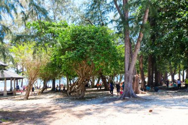 Kumsal ve yeşil, zümrüt deniz suyu, Koh Similan ve Surin  