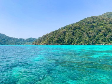 Koh Similan 'daki yeşil, zümrüt, turkuaz suya atlayıp şnorkelle yüzüyorlar. 