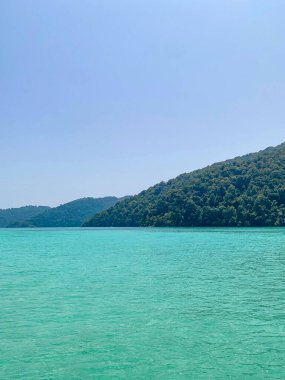 Koh Similan 'daki yeşil, zümrüt, turkuaz suya atlayıp şnorkelle yüzüyorlar. 