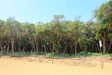 Siem Reap, Kamboçya 'da Kompong Khleang Yüzen Köyü 