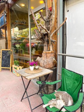 İstanbul 'un Taksim Meydanı yakınlarındaki Türk halkının evleri, apartmanları ve yerel yaşamı 