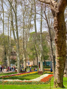 Gulhane lale Parkı, İstanbul 'da bahar lale festivali. İstanbul' un Glhane Parkı 'nda renkli laleler çiçek açıyor. 